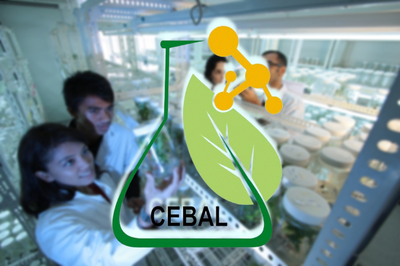 Novo edificio do CEBAL