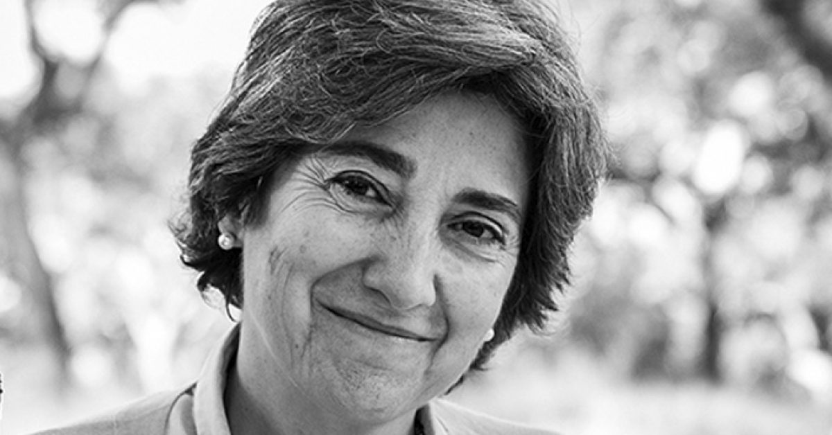Professora da Universidade de évora