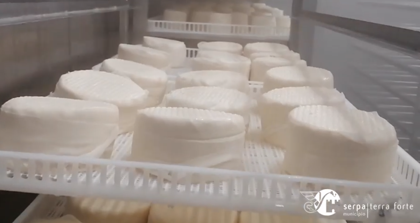 Queijo de Serpa