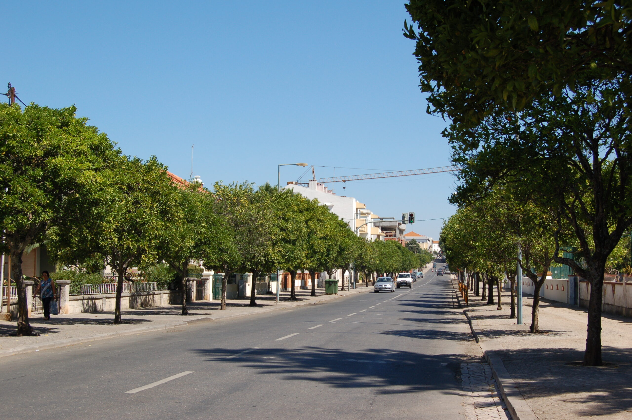 laranjeiras santiago do cacém