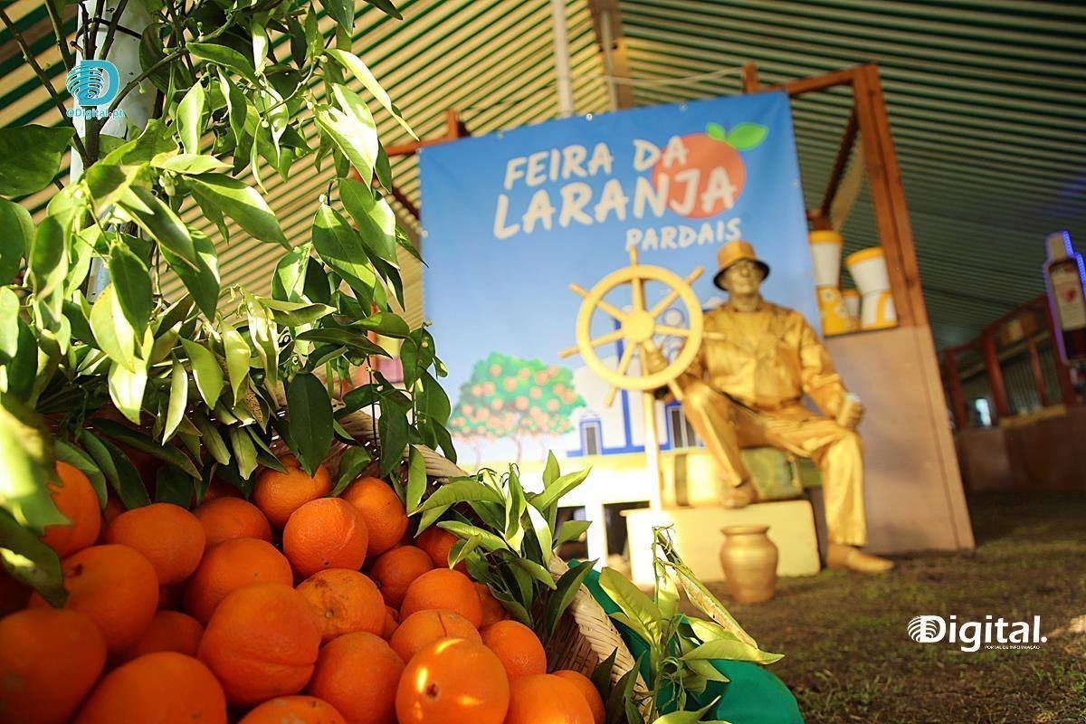Laranja de Pardais