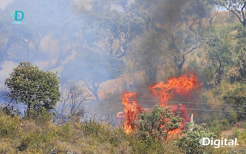 incêndio em Vila Viçosa
