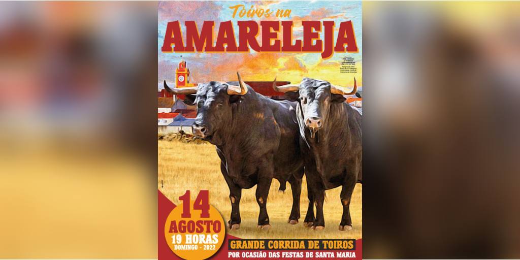 corrida de touros na amareleja