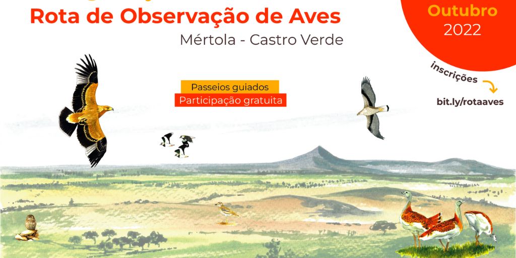 rota das aves