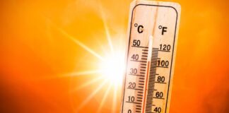 Calor