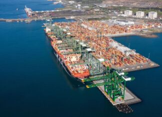 Sines procura novas oportunidades de negócio no mercado agroalimentar brasileiro Porto de Sines