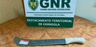 Alcácer do Sal: Homem de 58 anos detido por posse de arma proibida