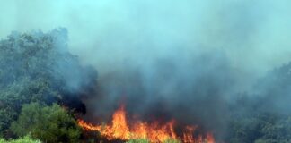 Incêndio