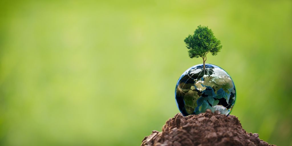 ecosistema