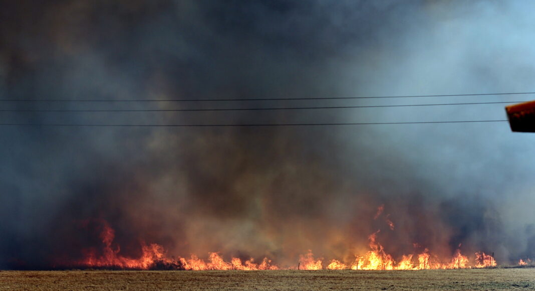 Imagens impressionantes mostram violência do incêndio em Alandroal