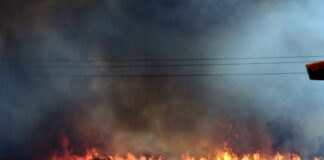 Imagens impressionantes mostram violência do incêndio em Alandroal