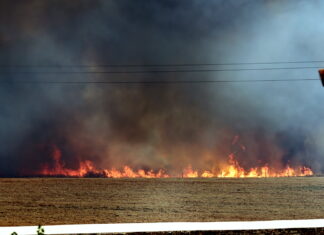 Imagens impressionantes mostram violência do incêndio em Alandroal