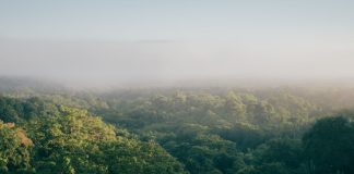 Natureza