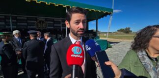 Luís Metrogos