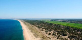 Humberto Pedrosa oferece 100 milhões de euros pela sociedade agrícola da Herdade da Comporta