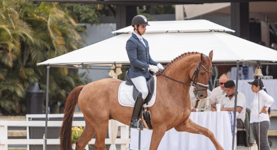 Cavaleiro de Portel soma vitórias internacionais em 2025 e destaca-se em provas de dressage