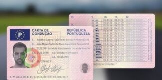 Cata de condução