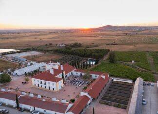 Há um mercado de vinhos num hotel do Alentejo com sunset numa torre de 700 anos Há um mercado de vinhos num hotel do Alentejo com sunset numa torre de 700 anos