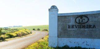 Ervideira