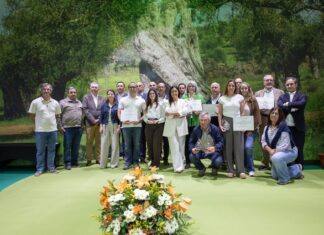 Conheça os vencedores do Concurso de Azeite Virgem da Feira Nacional de Olivicultura