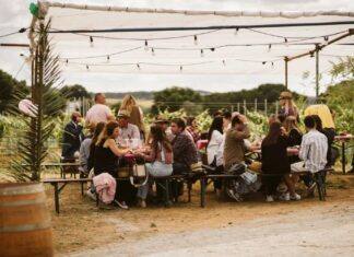 Quinta da Plansel volta a receber Rosé Party entre vinhas em Montemor-o-Novo a 30 de maio Quinta da Plansel volta a receber Rosé Party entre vinhas em Montemor-o-Novo a 30 de maio