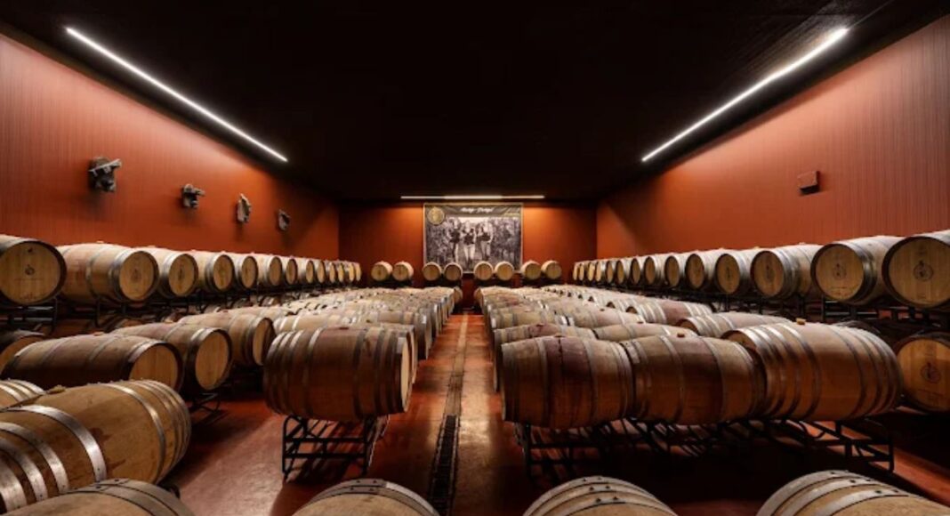 Quinta da Plansel produz 400.000 garrafas de vinho alentejano que já voa até Jamaica