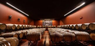 Quinta da Plansel produz 400.000 garrafas de vinho alentejano que já voa até Jamaica