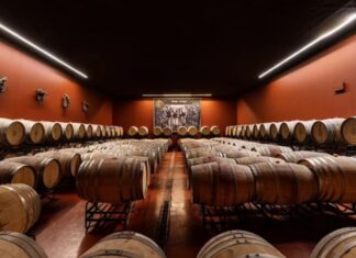 Quinta da Plansel produz 400.000 garrafas de vinho alentejano que já voa até Jamaica