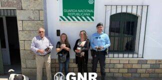 Barrancos: GNR resgata cães recém-nascidos abandonados num contentor do lixo