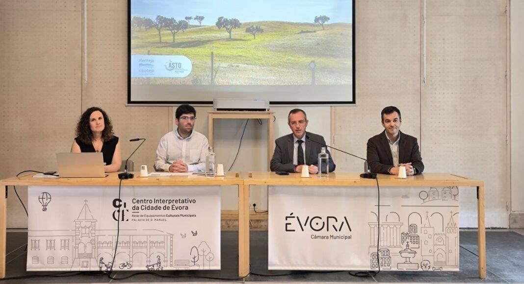 Turista que visita Alentejo fica duas noites e gasta 133 euros por dia, diz estudo