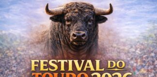 Festival do Touro regressa a Bencatel (Vila Viçosa) com encerro, vacadas e música ao vivo