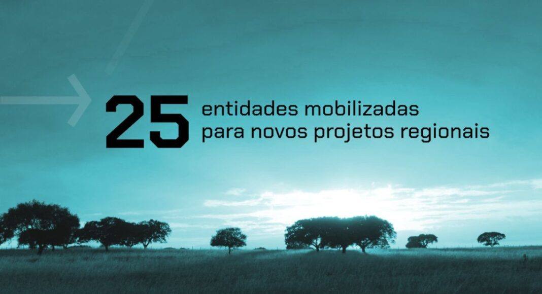 Sines Tecnopolo junta 25 entidades para reforçar cadeias produtivas no Alentejo