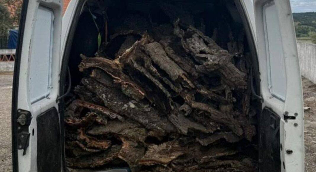 GNR identifica suspeito por furto de 420 quilos de cortiça em Mora