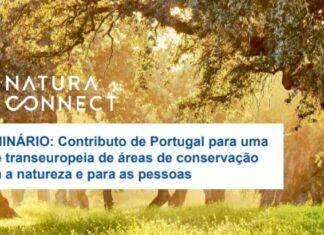 Ministra do Ambiente encerra seminário sobre biodiversidade e restauro da natureza em Évora Ministra do Ambiente encerra seminário sobre biodiversidade e restauro da natureza em Évora