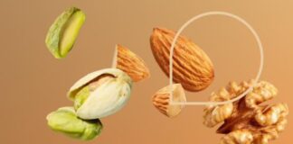 Fileira dos frutos secos em Portugal vai ter programa de sustentabilidade