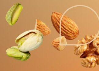 Fileira dos frutos secos em Portugal vai ter programa de sustentabilidade Fileira dos frutos secos em Portugal vai ter programa de sustentabilidade