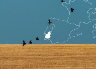 Hóteis do Alentejo com ocupação média superior a 75% graças a escapadinhas Hóteis do Alentejo com ocupação média superior a 75% graças a escapadinhas