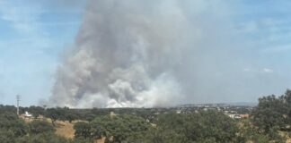 Incêndio em Moura consumiu cerca de 700 hectares na zona do Monte da Negrita