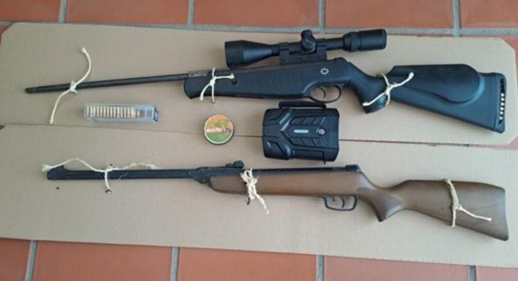 Armas e munições apreendidas em operação da GNR no concelho de Nisa